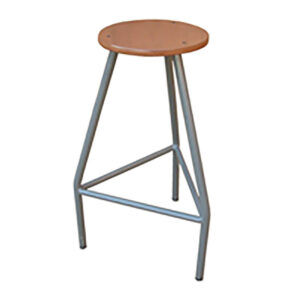 High Lab Stool – EGD & Elevated Workstation Stool (C021)